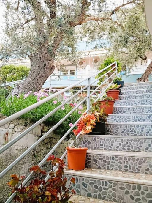 Sea Side Serenity 6